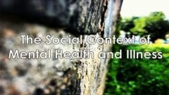 The Social Context of Mental Health and Illness 